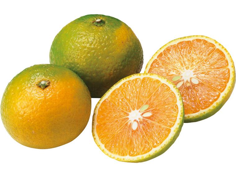 スイートスプリング 700g（3〜4玉）