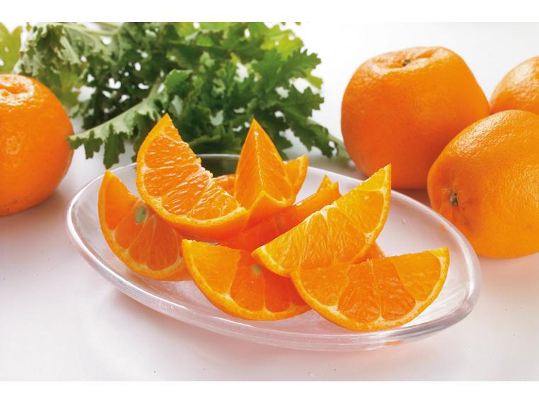 ポンカン（大袋） 1.2kg（M〜3L）