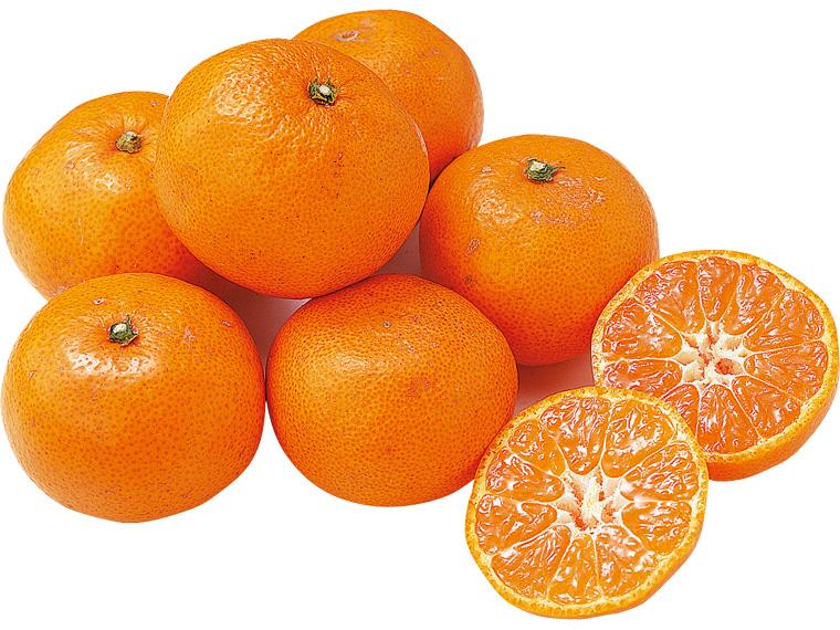 有田（和歌山）みかん 1kg（S〜2L）