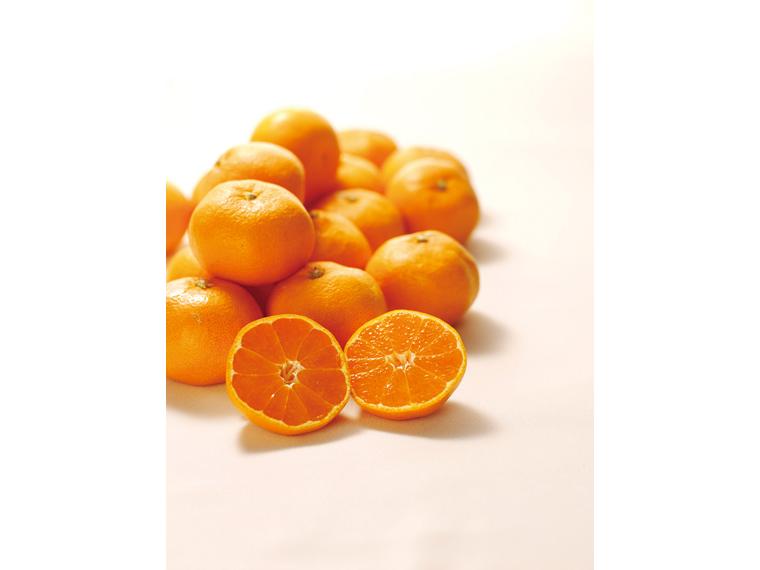 有田（和歌山）みかん 1kg（S〜2L）