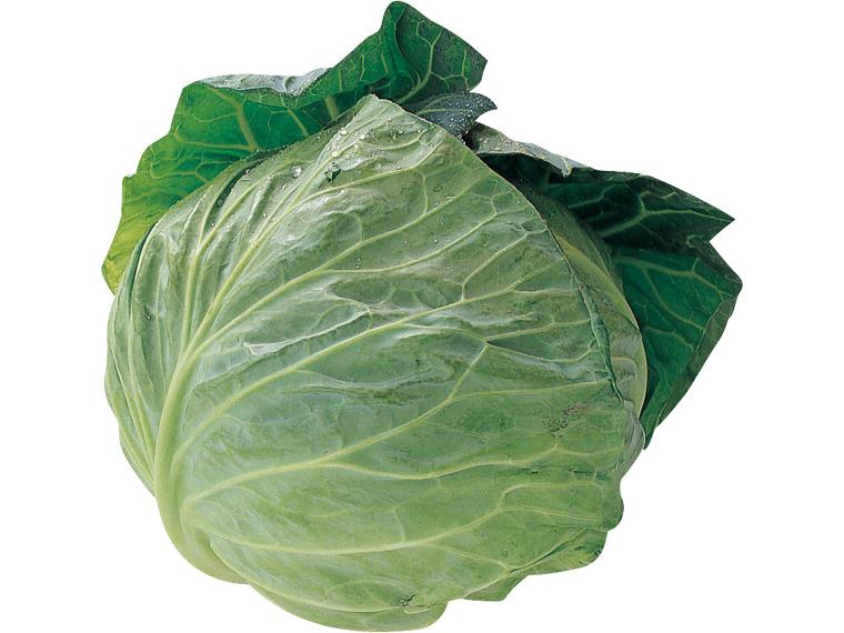 早春キャベツ 1玉（春系）