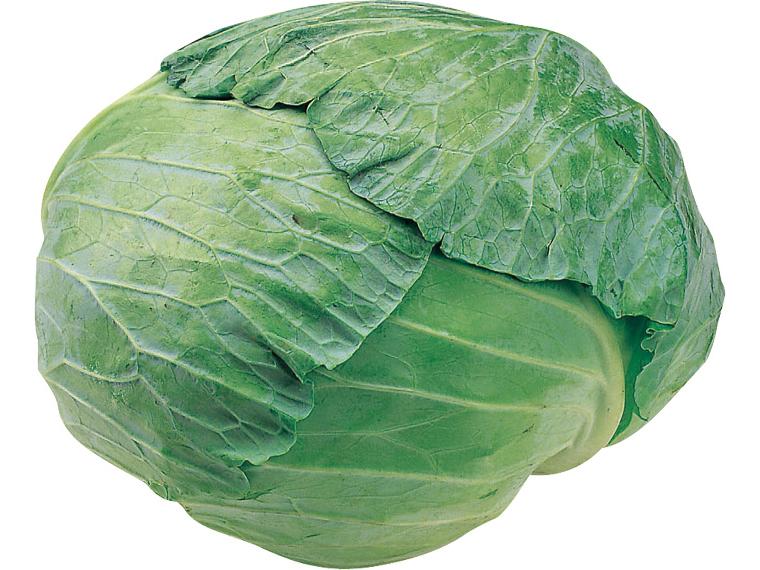 キャベツ 1玉