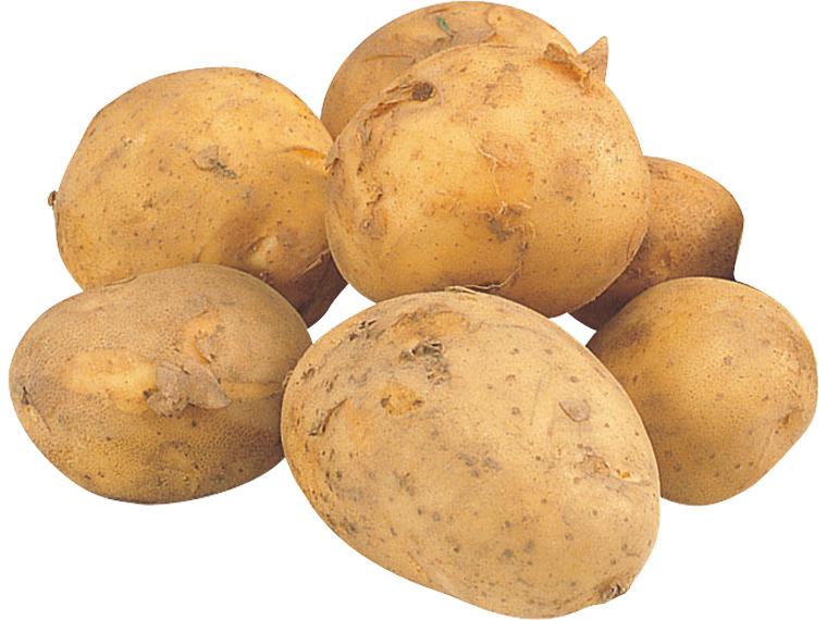 じゃがいも（男爵） 600g