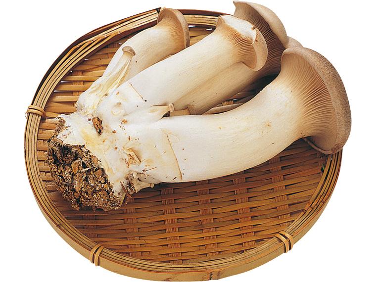 株採りエリンギ 110g