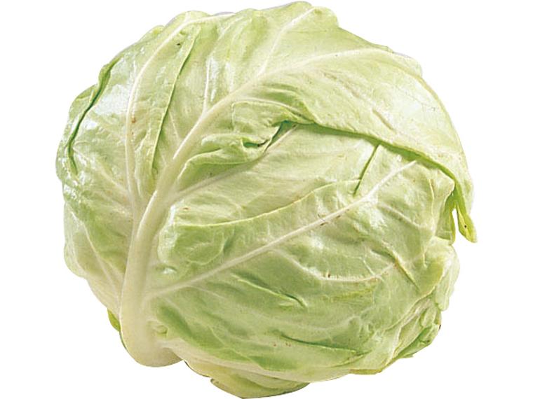 無無キャベツ 1玉