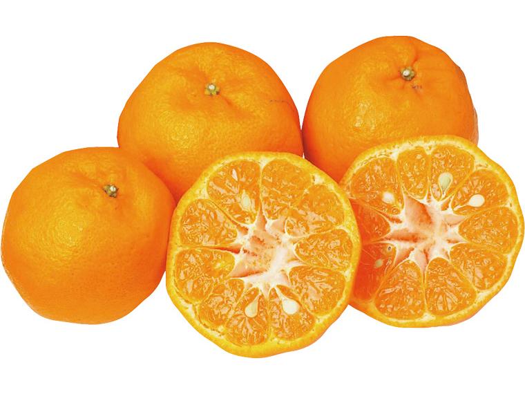 ポンカン 600g（4〜6玉）（M〜3L）