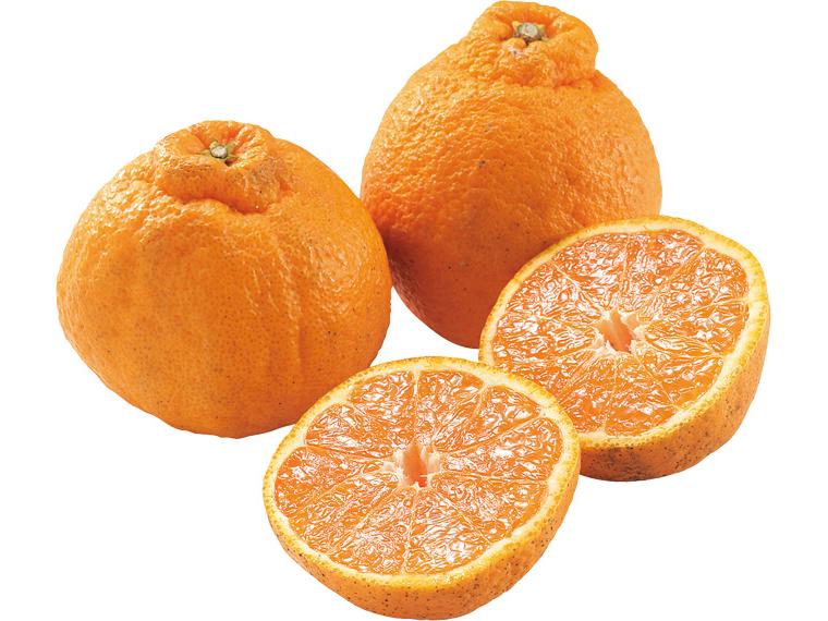 不知火（しらぬい）５５０ｇ（３～４玉）