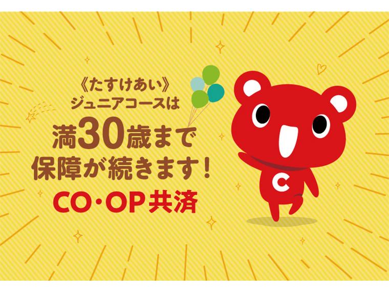 たすけあい・あいぷらす・ずっとあい資料