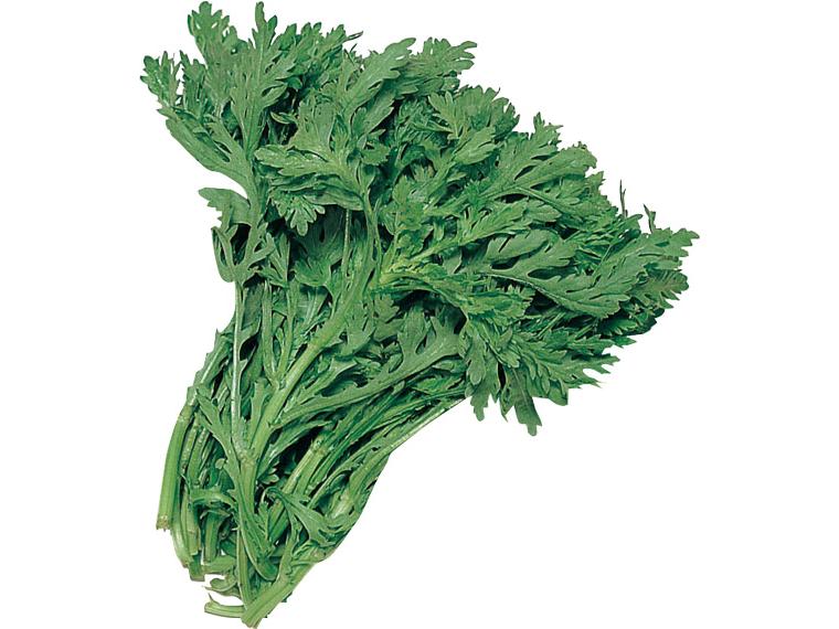 （企画中止）無無春菊１５０ｇ 150g