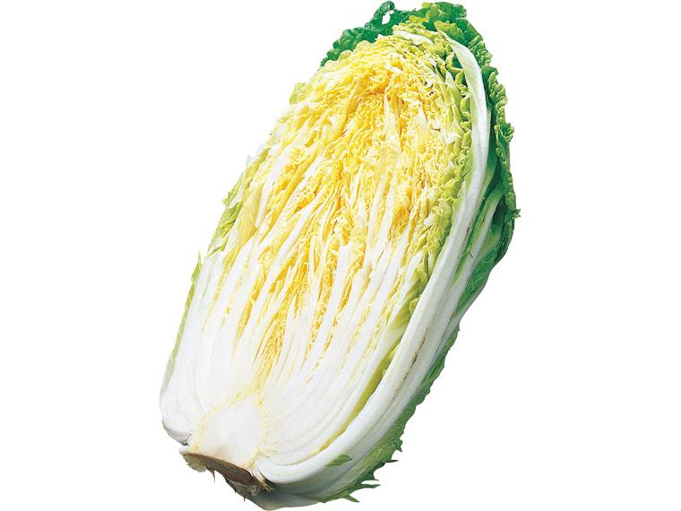 白菜 1/2株ｶｯﾄ