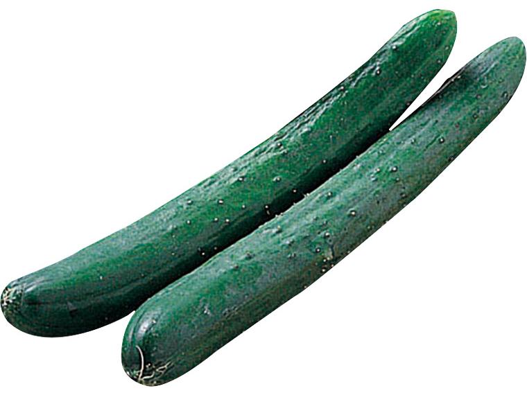 ブルームきゅうり 2本