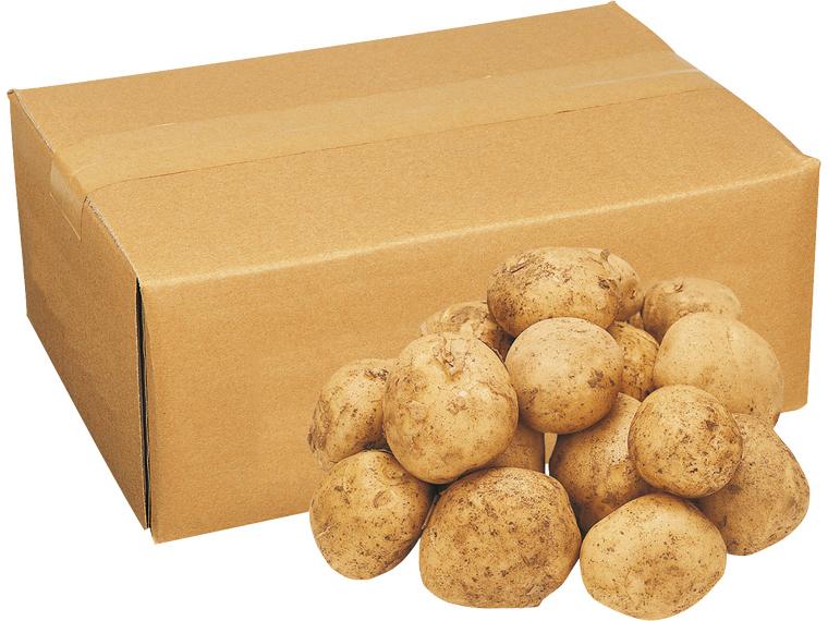 じゃがいも（男爵）（箱規格） 2.5kg箱