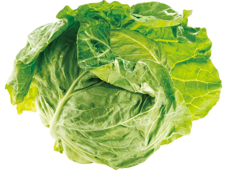 春キャベツ 1玉