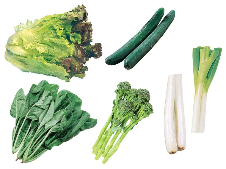 長崎じげもん旬青果セット 5種