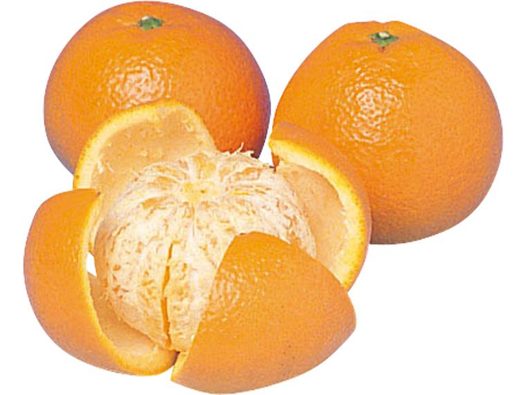 いよかん 700g（3〜5玉）（M〜3L）