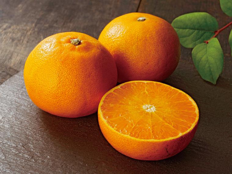 せとか 500g（2〜4玉）（M〜2L）