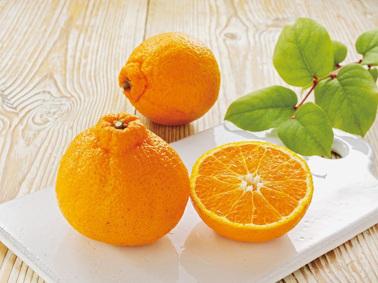 不知火(しらぬい) 550g（3〜4玉）（M〜L）