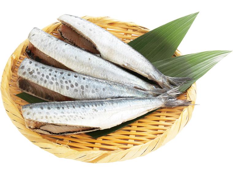 脂ののった大きな真いわし（下ごしらえ済み） 4尾240g