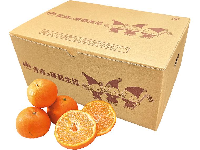 屋久島たんかん 2kg箱（8〜16玉）