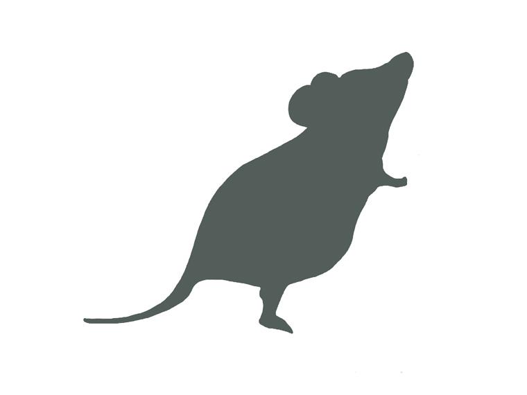 ねずみ対策見積 