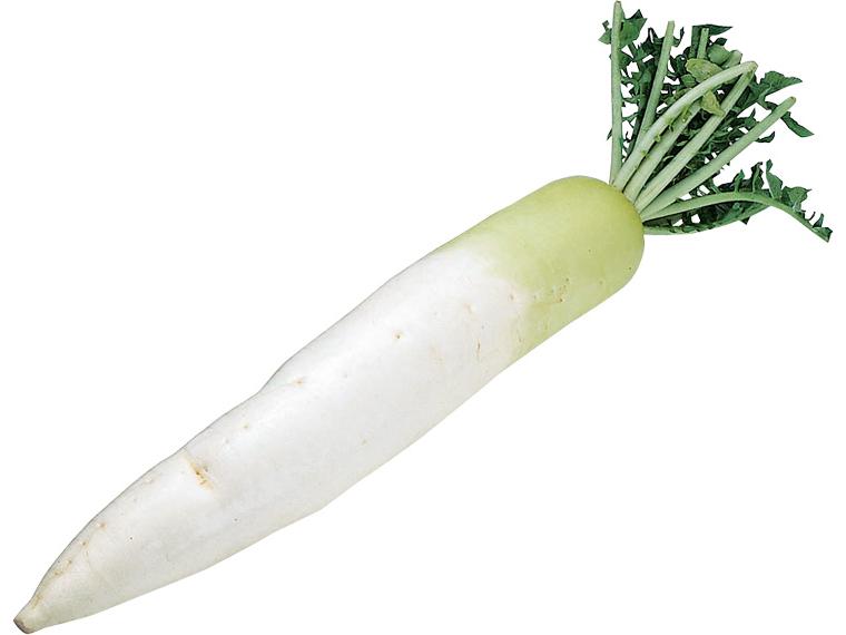 洗い大根（葉切り） 1本(800g)