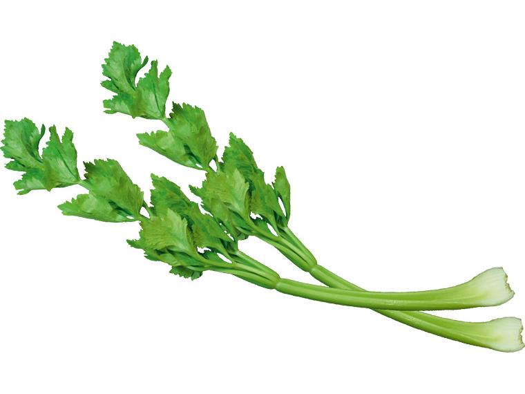 有機塩セロリ 150g