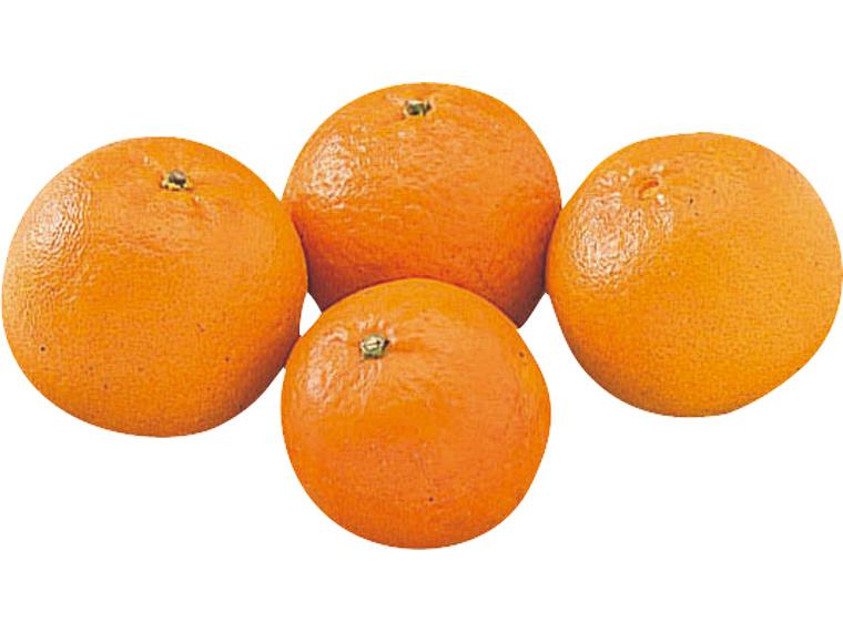 たんかん 600g（4〜7玉）（S〜3L）