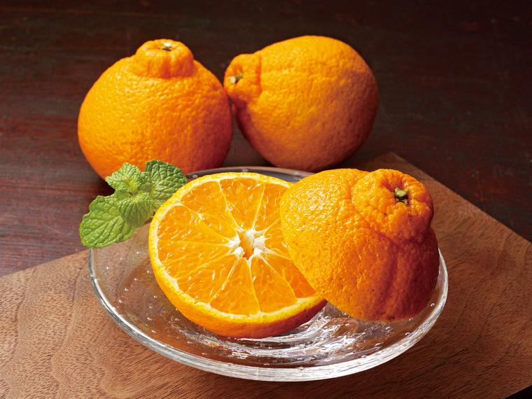 不知火(しらぬい) 550g（3〜4玉）（M〜L）