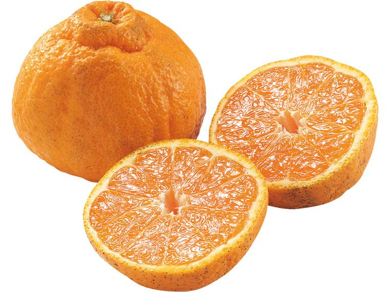 大玉不知火(しらぬい) 2玉450g（2L〜4L）