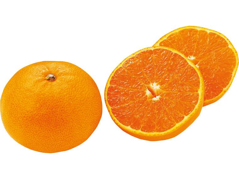 せとか 500g（2〜4玉）（M〜2L）