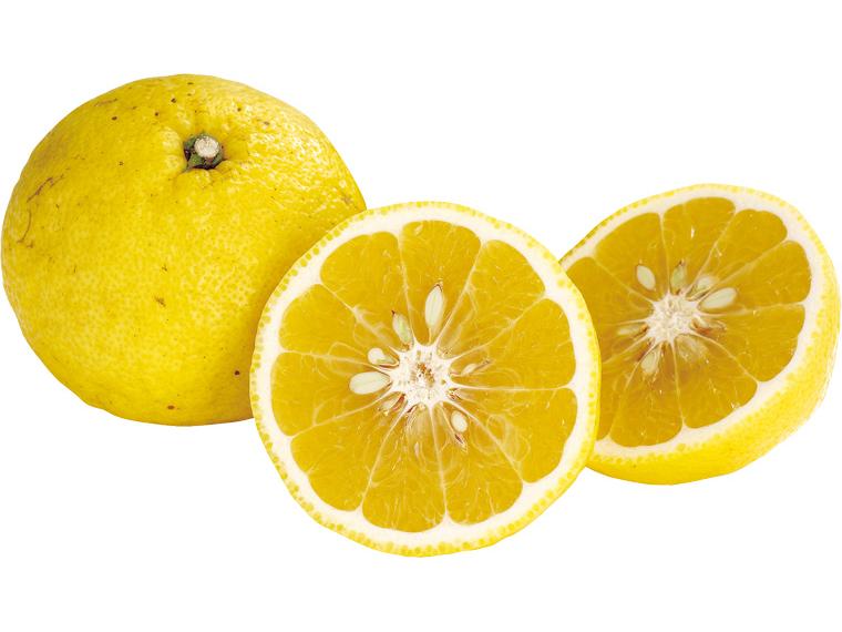 はるか 500g（2〜4玉）（M〜3L）