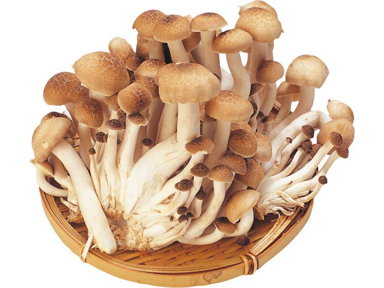 ぶなしめじ２００ｇ　　　　　　　　　　