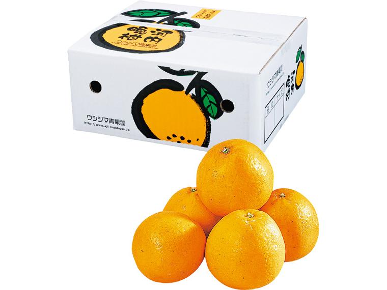 自宅　木成り河内晩柑（光センサー選別） 2.5kg(5〜9玉)（M〜2L）