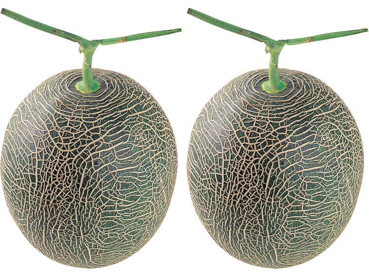 自宅　肥後グリーンメロン２玉 1玉1.8kg×2秀優