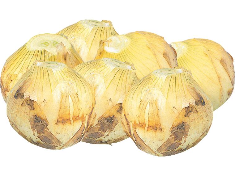 新玉ねぎ（大袋） 1kg+200g