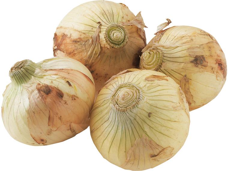 有機新玉ねぎ 500g