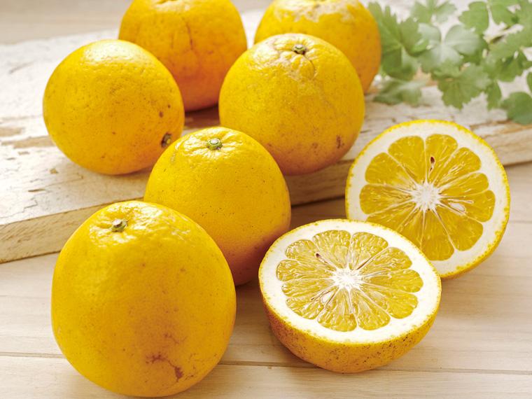 河内晩柑（大袋） 1.4kg（4〜6玉）（S〜2L）