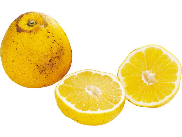 大玉河内晩柑 2玉（700g）（3L〜4L）