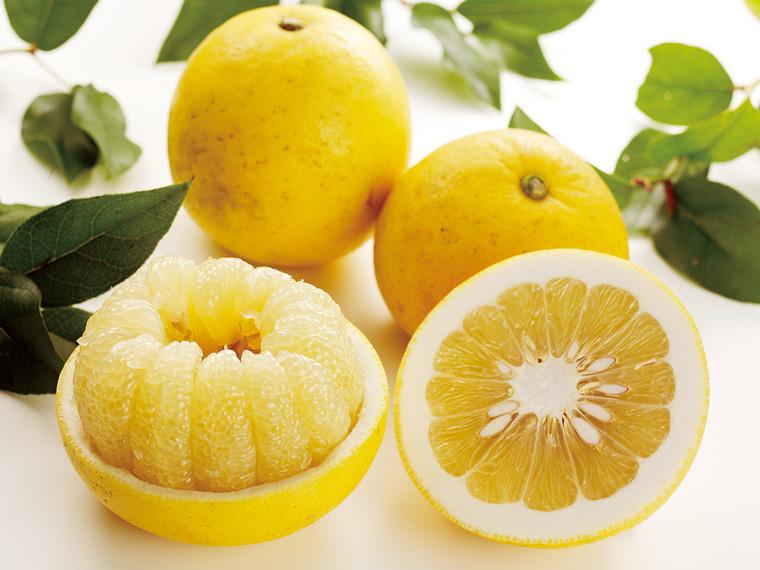 木成りパール柑（天草文旦） 800g（2〜3玉）（M〜2L）