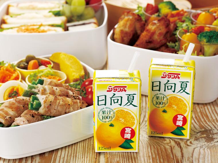 日向夏100％ジュース 125ml×12