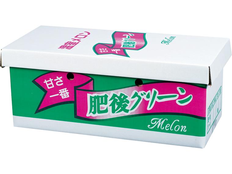 自宅　肥後グリーンメロン２玉 （1玉1.8kg×2・秀優）