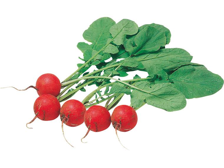 ラディッシュ 5玉