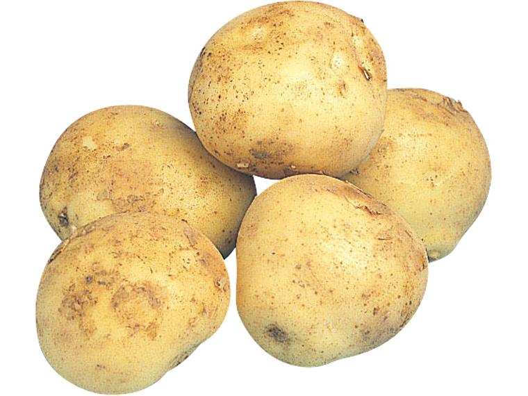 新じゃがいも 500g