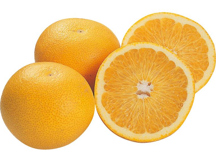 はっさく 1kg（3〜4玉）（M〜3L）