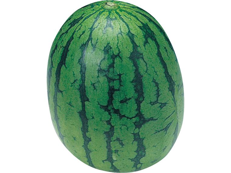 小玉すいか 1玉（1.5kg）（L〜2L）