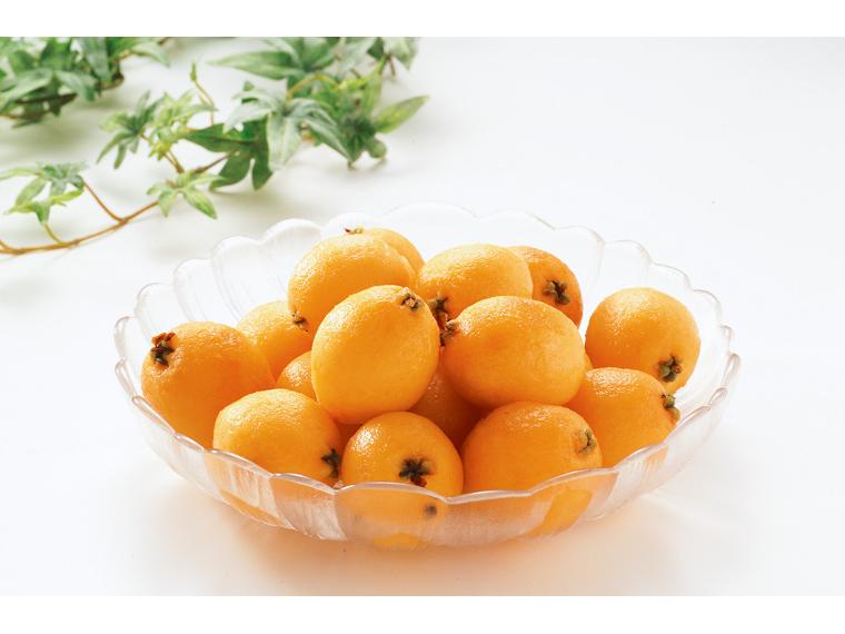 ハウス長崎びわ 250g（5〜9玉）