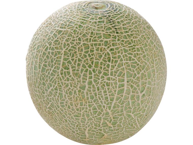 大玉アンデスメロン 2L1玉（800g）