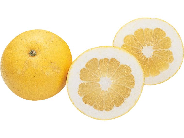 木成りパール柑（天草文旦） 800g（2〜3玉）(サイズおまかせ）