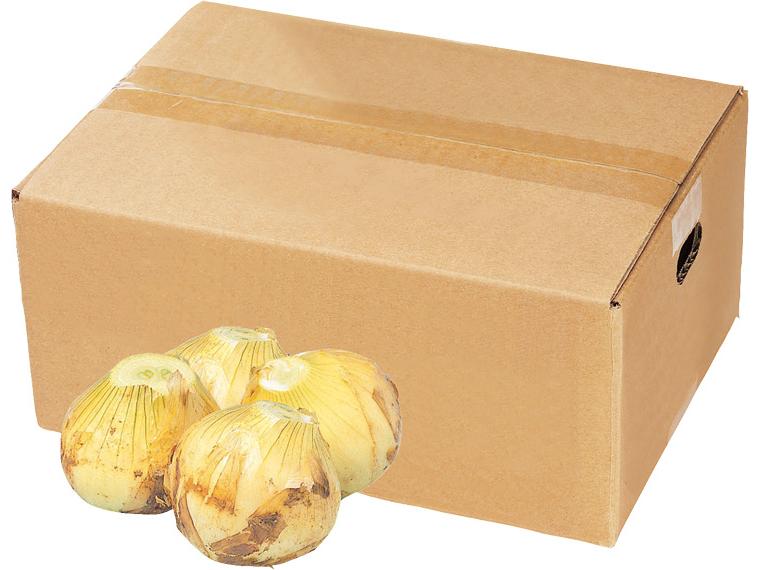 新玉ねぎ（箱規格） 3kg箱