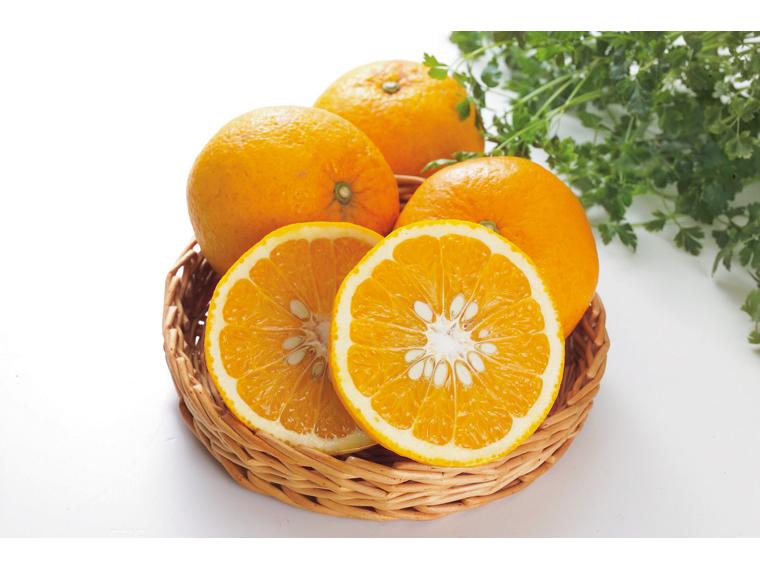 サンフルーツ 800g（2〜3玉）（M〜3L）